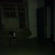 trans-allegheny-lunatic-asylum-haunted-house-malice