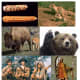 Set 1 of pictures for journal