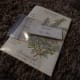Fresh Rosemary Seed