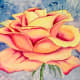 Plastic Wrap background