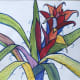 Outlined Bromeliad