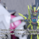 kamen-rider-zero-one-episode-16-review-this-is-the-dawn-of-zaia