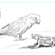 Thumbnail sketch 2