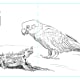 Thumbnail sketch 5