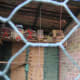 Feeder hung from the roof