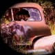 scenic-byways-a-gallery-of-abandoned-cars