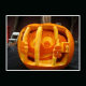 growing-vegetables-101-pumpkins-how-to-grow-them-maybe-even-a-giant-one
