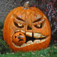 growing-vegetables-101-pumpkins-how-to-grow-them-maybe-even-a-giant-one