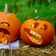 growing-vegetables-101-pumpkins-how-to-grow-them-maybe-even-a-giant-one