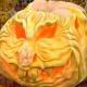growing-vegetables-101-pumpkins-how-to-grow-them-maybe-even-a-giant-one