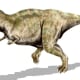 Tyrannosaurus Rex - meat eater