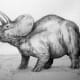 Triceratops - plant eater