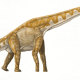Giraffatitan - plant eater