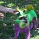 roswell-ufo-festival