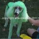 roswell-ufo-festival