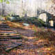 a-hike-through-madame-sherri-forest-and-a-look-at-her-stairway-to-heaven