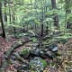a-hike-through-madame-sherri-forest-and-a-look-at-her-stairway-to-heaven