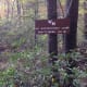a-hike-through-madame-sherri-forest-and-a-look-at-her-stairway-to-heaven