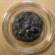 apis-mellifera-numismatist