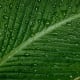 how-to-avoid-dehydration-lost-in-the-wild