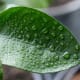 how-to-avoid-dehydration-lost-in-the-wild