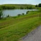 Scenery from the trail