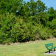 Benches placed along the path
