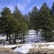 Flagstaff