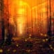 Fireflies Flickering their Lights, Being Watched by Unseen Eyes