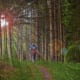 Alone and Yet, One with the Universe, My Church of the Woods