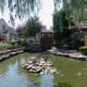 The island of stone is a favorite resting place for the ducks.