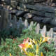 Gardens are everywhere and the flowers are beautiful.