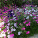 These are from the opposite end of a large triangle of beauty.