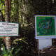 Okay, you'll find these signs just before you trek up the Mt. Kanlaon
