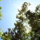 Trekking was made even grander with all the beautiful scenes of nature