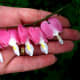 valentines-day-photo-picture-ideas-photography-props