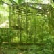 A small monkey inside the cage.