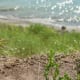 The views overlooking Lake Michigan from Lion's Den Gorge are spectacular.
