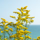 great-best-locations-places-to-take-photos-within-one-hour-of-milwaukee-wi-wisconsin