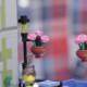 LEGO Creator Parisian Restaurant Modular Building | Here you can see these new little pieces – a new round bowl shape that is used for the pots and for the lamps.