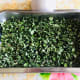 Moringa Oleifera / Malunggay / Miracle Tree Leaves, dried.