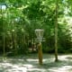 Number 5 Basket