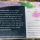 Compton Oak Sign