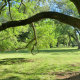Carolyn H Wolff Park