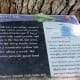 Water Oak Sign