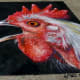 Creekfest chalk art
