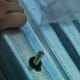 To prevent mistakes if other crew members are plugging in bolts prior to ladder installation, bolts may be inserted backwards as a reminder.