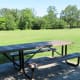 Sole picnic table in the park