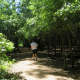 Jogging in the park