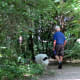 Dog walking in the park